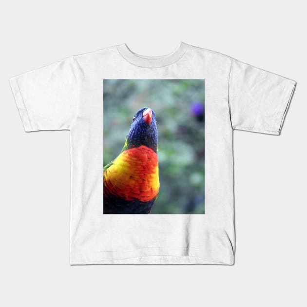 Rainbow Lorikeet Kids T-Shirt by kirstybush